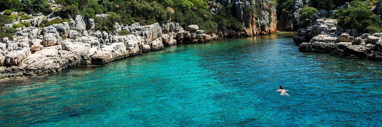 Goélettes par Intérêt